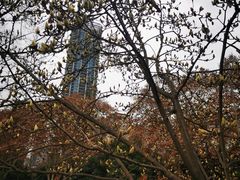 -沙河三洞古桥公园