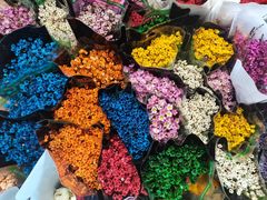 -循礼门鲜花花市(武汉循礼门店)