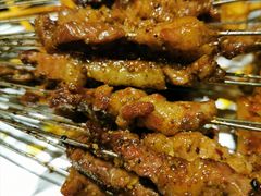 -鼎原力量东北吊炉烧烤(临河街店)