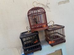 -张记炸串肠粉