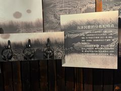 -马鞍山市博物馆