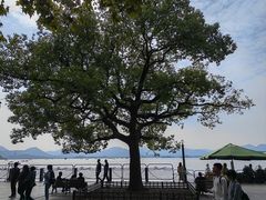 -杭州君悦酒店·青莳