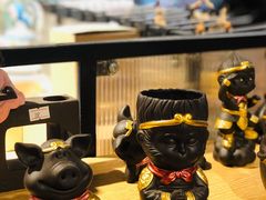 -猫咪博物馆(顶澳仔猫街店)