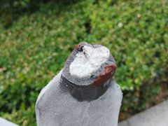 -全家便利店(梅园路店)