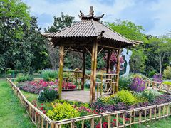 -上海共青森林公园