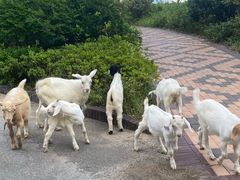 -乌拉赫旗满族火锅(国信·南湖公馆店)