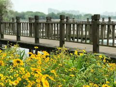 -高子水居