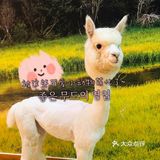杭州室内动物园[胜利]来看可爱的网红小动物吧