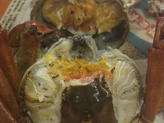 -乡乐园蟹庄·阳澄湖农家乐