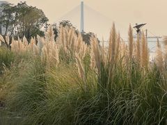 -游心咖啡(青山滨江店)