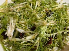 凉拌苦菊-馋嘴蛙火锅