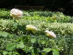 -苏州河梦清园环保主题公园