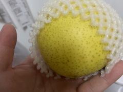 -百果园PAGODA(双塔街郦苑店)