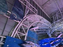 -烟台海昌鲸鲨海洋公园