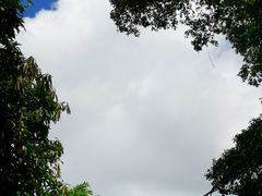 -炮台山公园