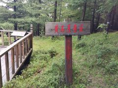 -苏木山森林公园