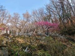 -南山风景名胜区