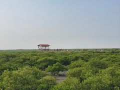 -北海金海湾红树林生态旅游区