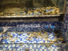 -喜庭海鲜自助(北辰三角洲北辰荟店)