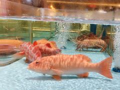 -阿伟海鲜楼·福建菜(延寿店)