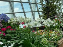 -植物学家的女儿(北马道巷店)