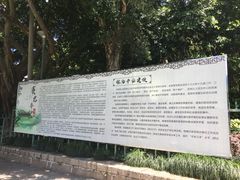 -光明港公园