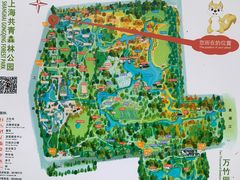 -上海共青森林公园