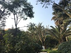 -鱼凫国都大酒店温泉