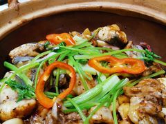 招牌焗叉尾鱼-美极鲜食坊(宝安南路店)