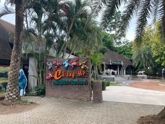 -清迈夜间动物园