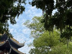 -灵岩山风景区