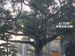 -金砂公园