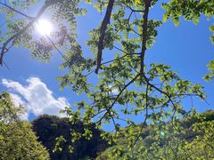 -湖洞水自然风景区