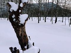 -石棉县孟获城