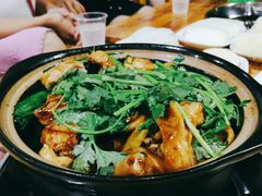-芳村榕树头叹佬鸡煲(体育西店)