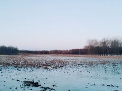 -东郊湿地公园