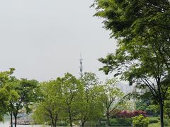-桃花岛公园
