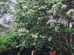 -洛阳市隋唐城遗址植物园