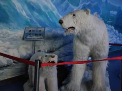 -多彩贵州城极地海洋世界