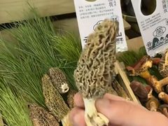 -菌极鲜野生菌火锅店(阳明祠店)