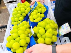 -西郊国际农产品交易中心