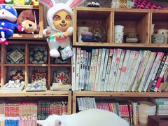 -萌喵宠狗爱心宠咖