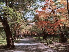 -北海道神宫