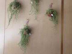 -桃花江餐厅·江景-约会·聚会