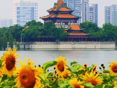 -顺峰山公园