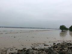 -宝安西湾红树林湿地公园