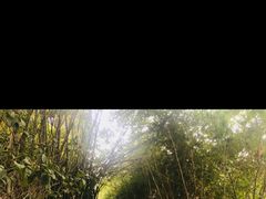 -老木棉·匠园