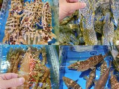 -四川小胡子海鲜(丁村万人海鲜广场店)