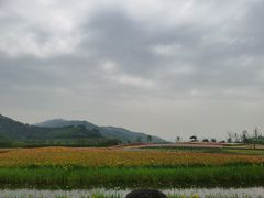 -径山花海