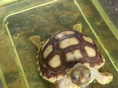 -中影国际影城(建军路金鹰购物中心店)